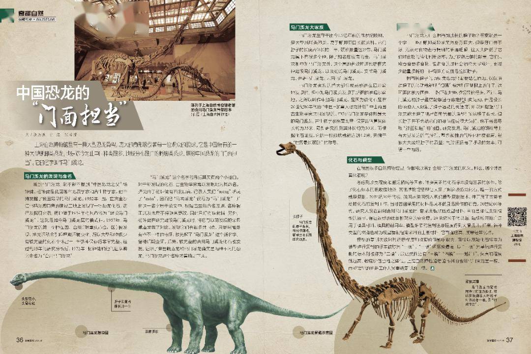 中生代恐龙资料图片