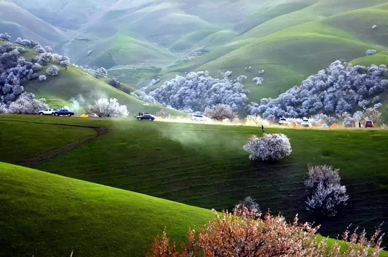 3.巩乃斯草原大山深处的伊甸园4.