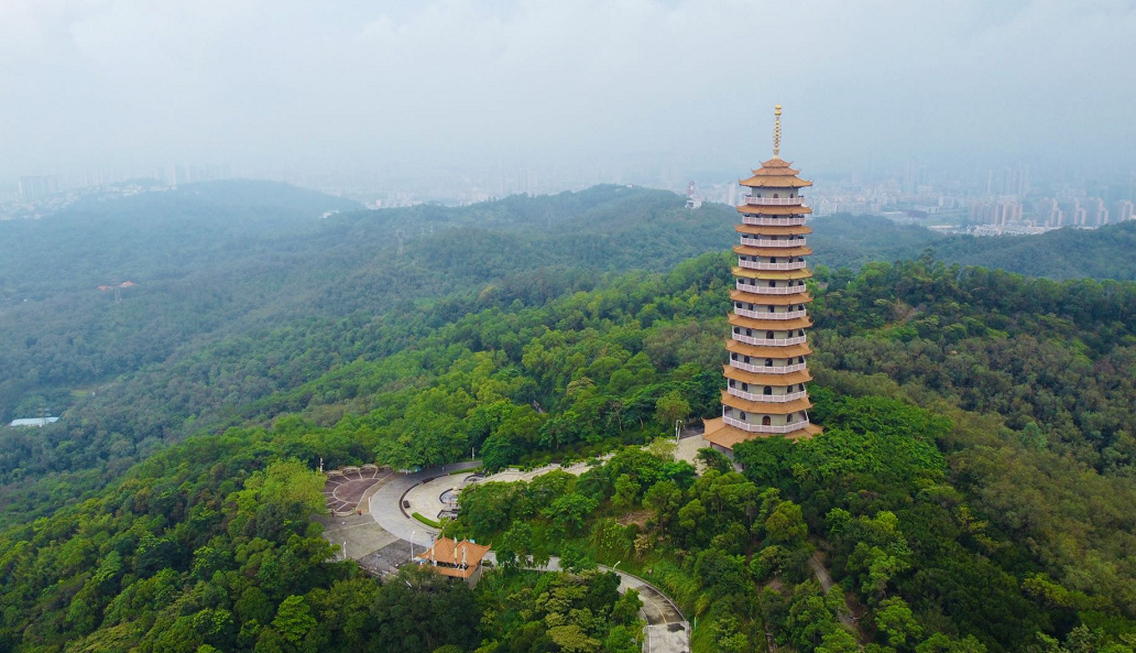 打开江门"龙"地图!这个春节,来一场寻"龙"记吧!_公园_村落_马降龙