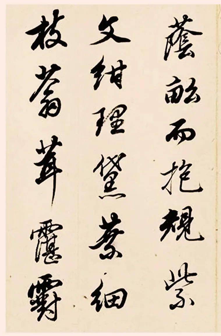 0版_ng_样子_果肉