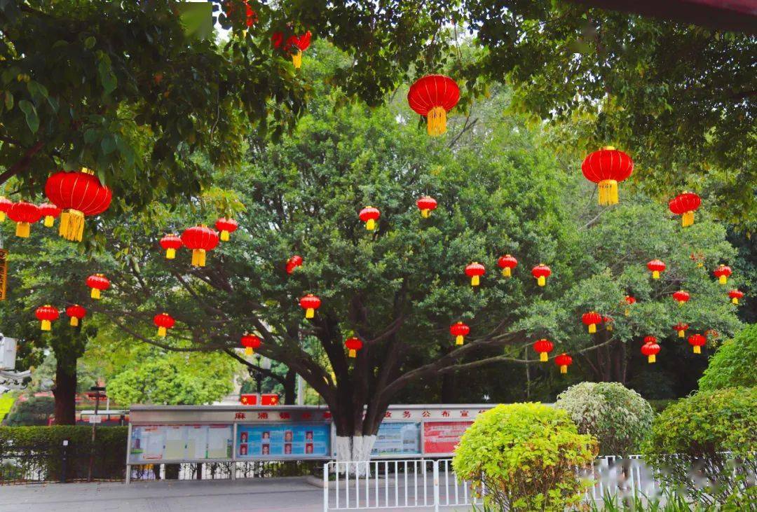 鎮政府門前麻涌大橋創客坊新年氛圍濃黎滘村新基村大盛村南洲村大步