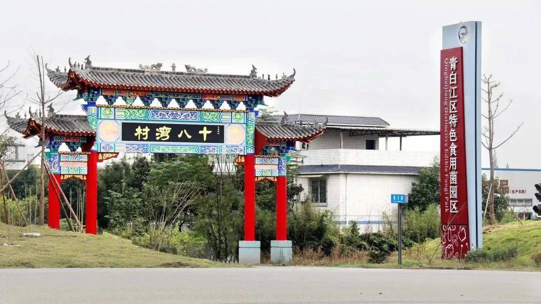 城厢镇这个村又又又上榜!_四川省_乡村_示范区