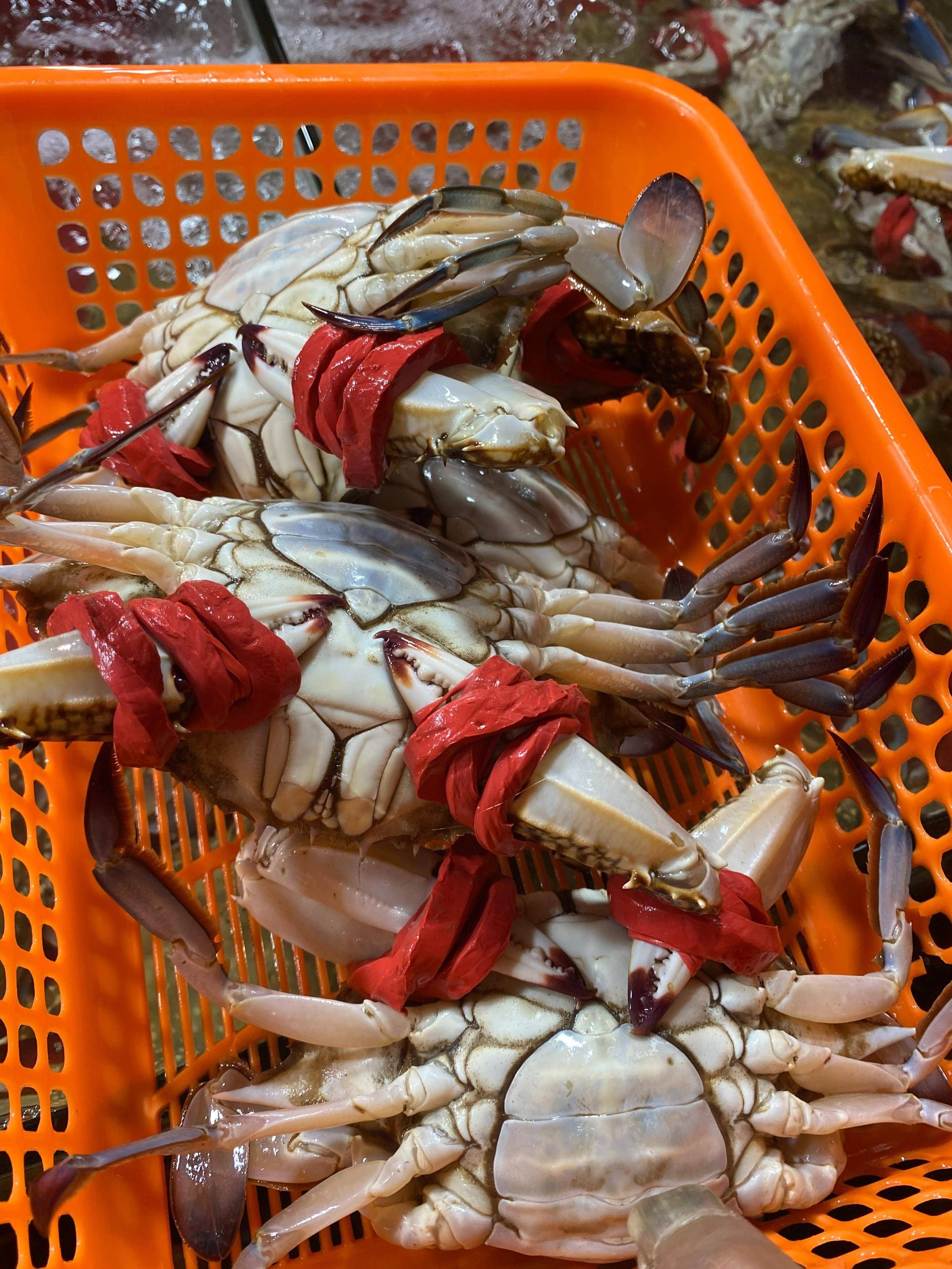 过年买梭子蟹,建议学会3个挑选技巧,螃蟹个个膏肥满黄,不吃亏_菜市场