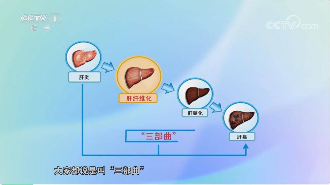 红薯对肝好不好_红薯养肝还是伤肝_红薯对肝脏有什么营养