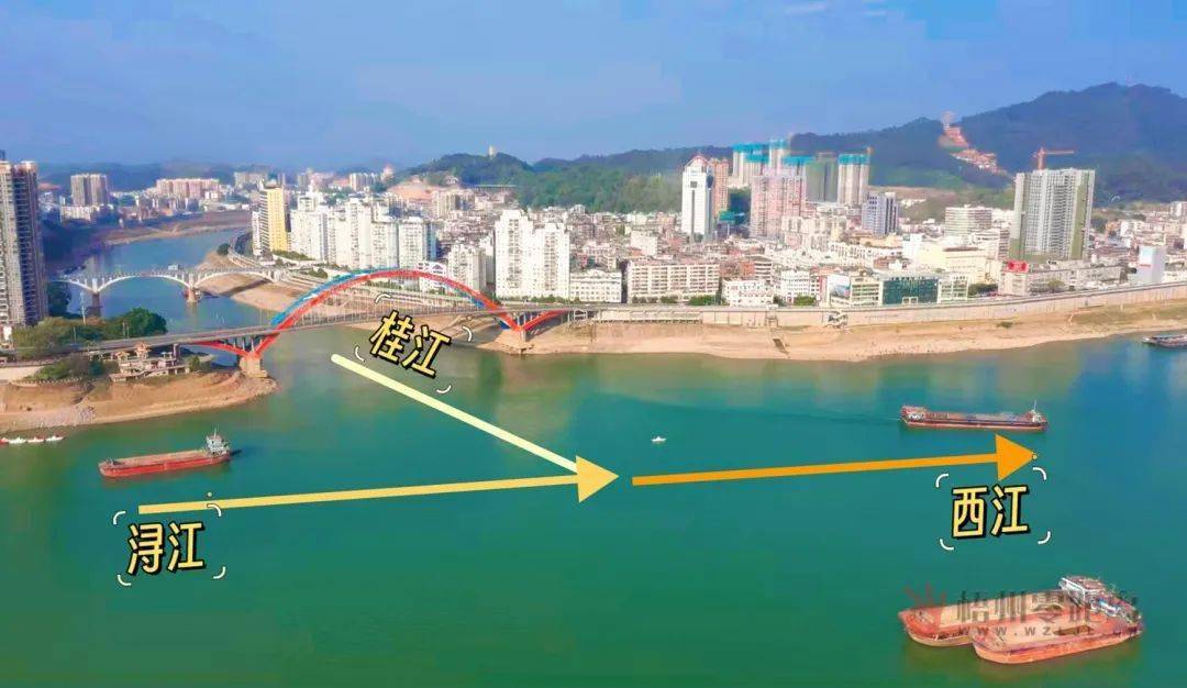 龙年春节游梧州!市区旅游攻略来啦