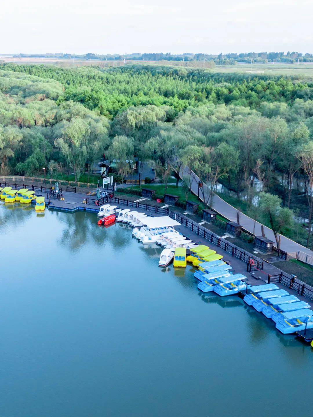 一波美图先来了解下