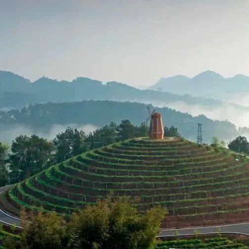 大雁嶺大雁嶺景區是國家4a級旅遊景區,有中國紅茶第一莊園,雁鳴湖