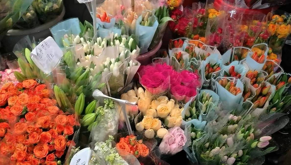 节前探访武汉循礼门花市:鲜花价格波动不大,郁金香每