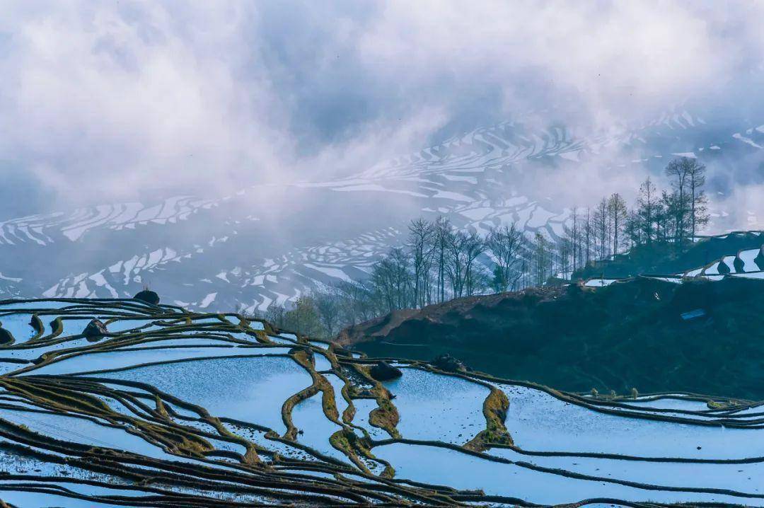 早在20世纪80年代,哈尼梯田在一些摄影师的介绍下,用它的壮美征服了