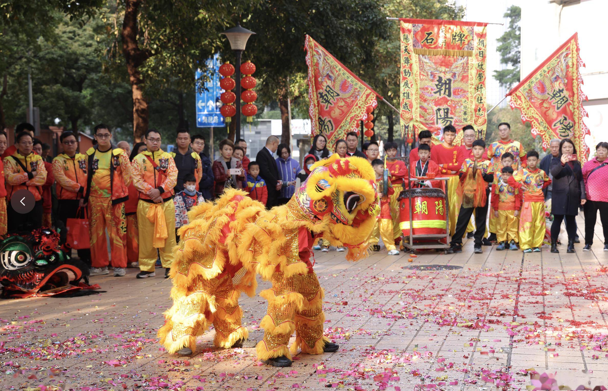 广东舞狮采青图片