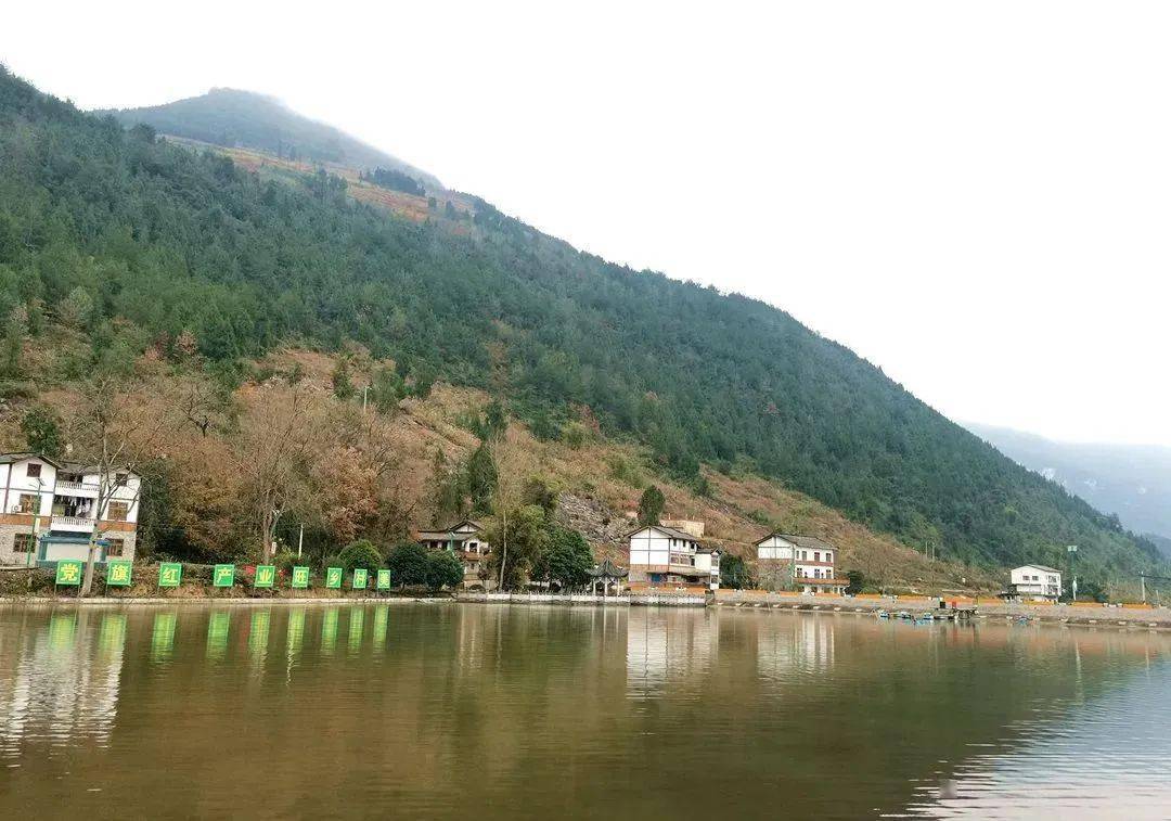 【沿江行 · 看振兴】长坝村:产业兴旺促乡村和美_旧城_种植_发展