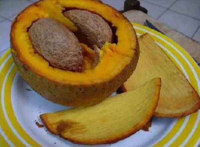 但要注意果实未成熟不能吃,因为有较强的刺激性.