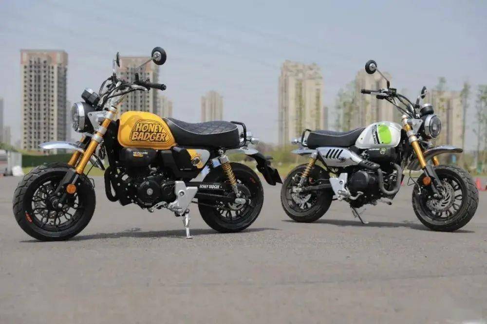 中小排量个性化发展,大排断崖式减少——2023摩托车之