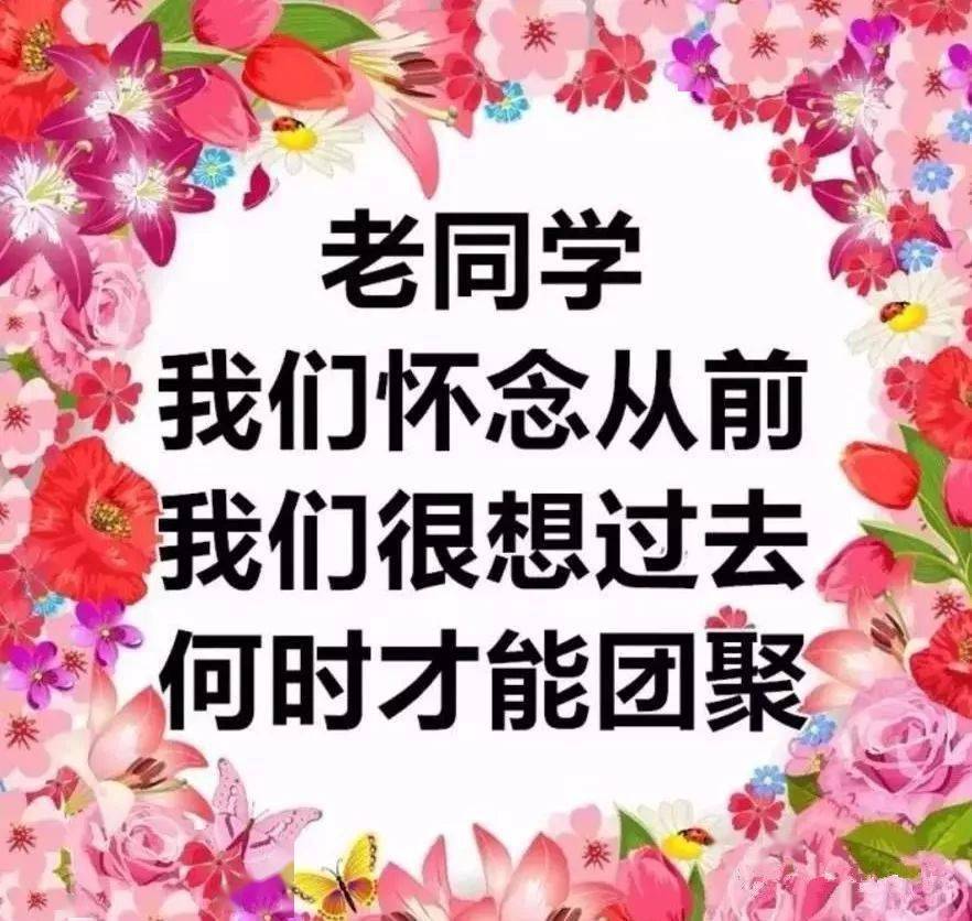 致我親愛的同學們,無不讓人倍感情趣.如今想來,率直仼性,嬉笑怒