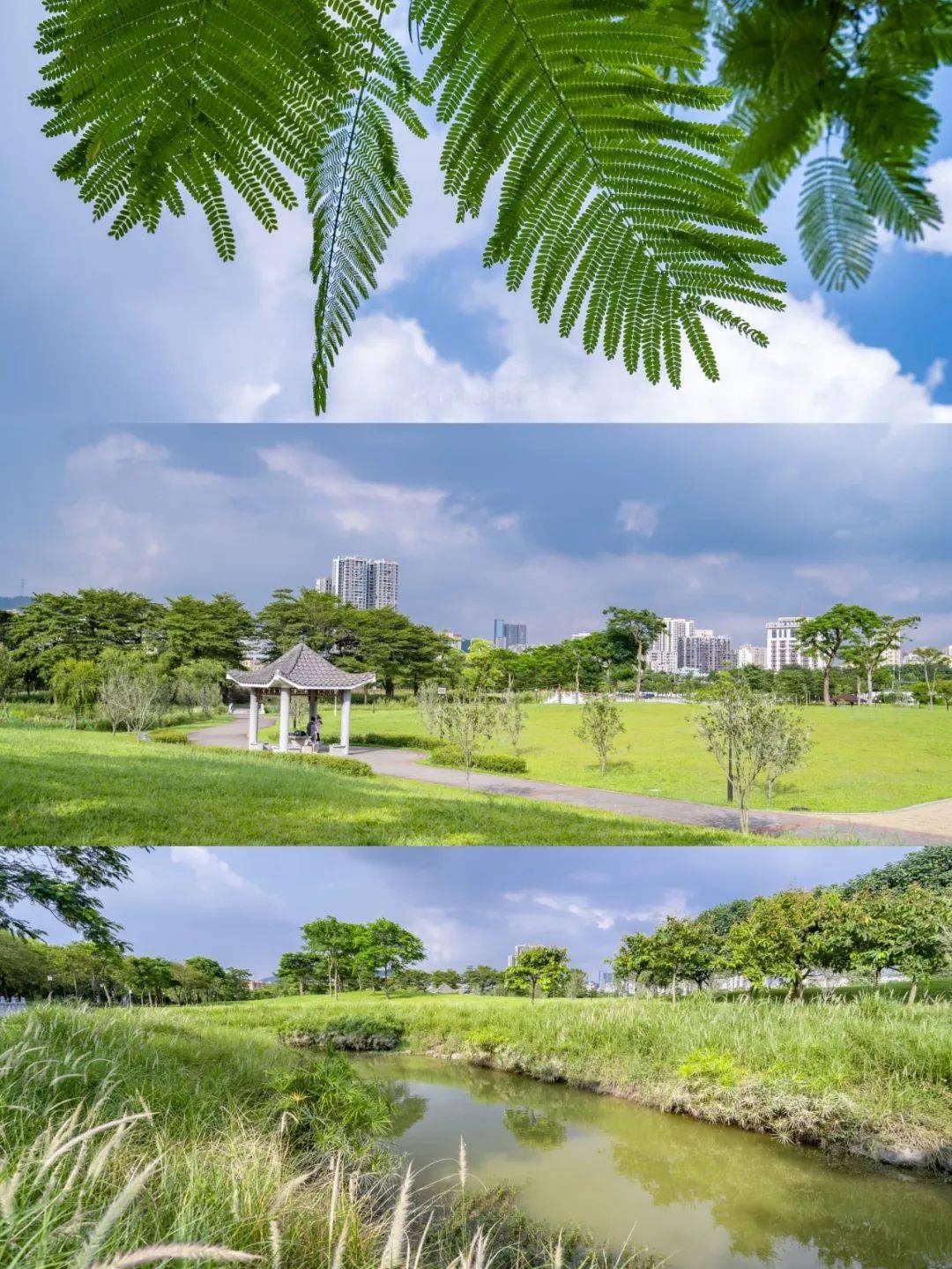 8公里石岩湿地公园免费-门票-儿童乐园大草坪科普