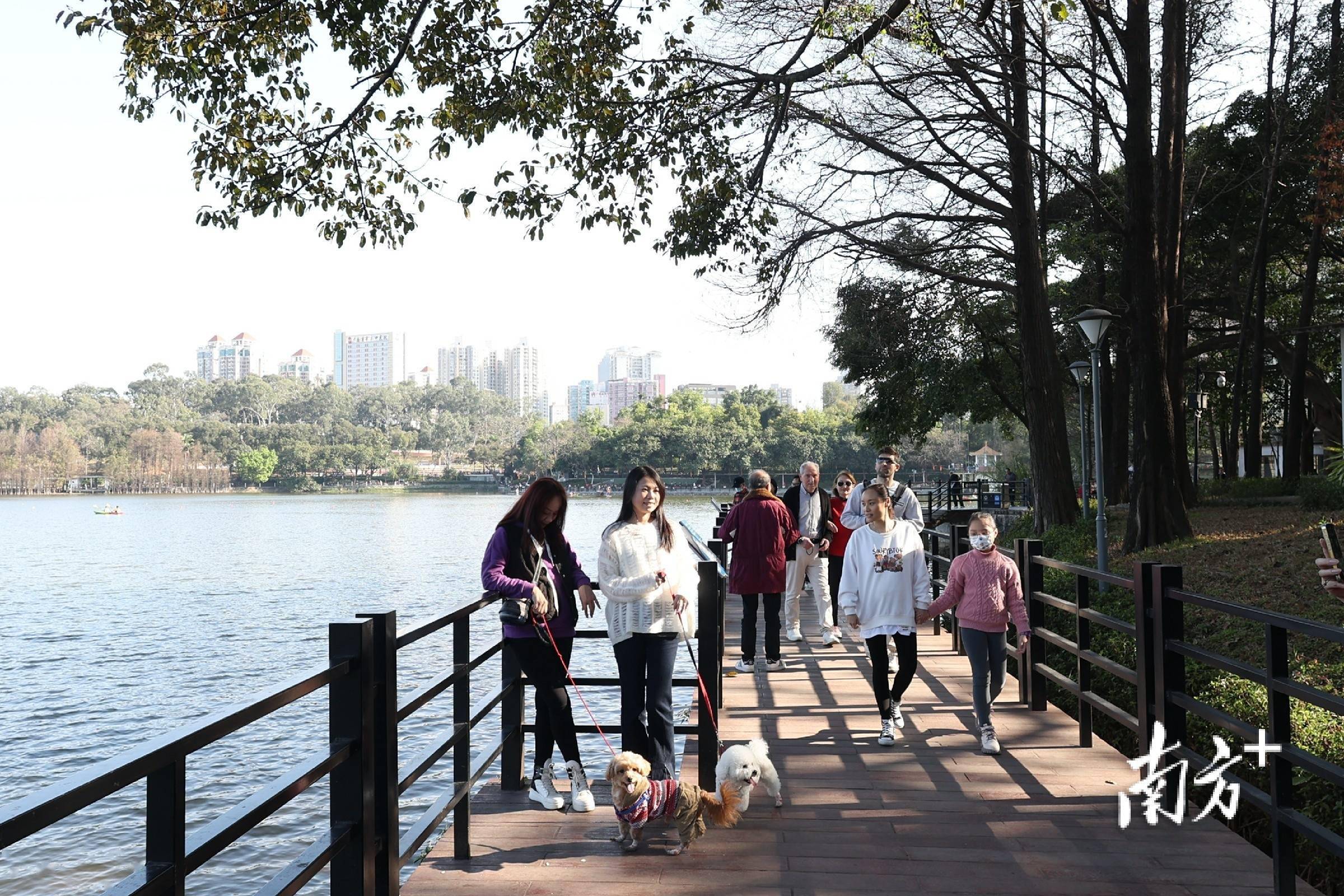 大年初三天氣放晴,廣州麓湖公園遊人如織丨南方 視頻