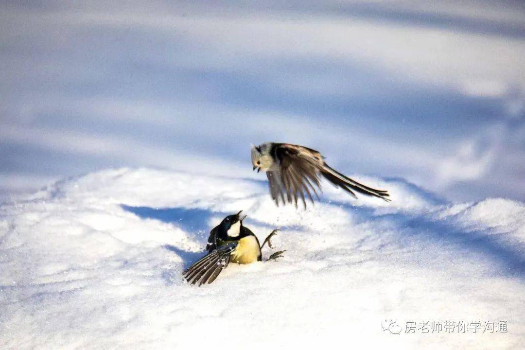 聰明人求人,從來都是這樣說_胡雪巖_左宗棠_辦事