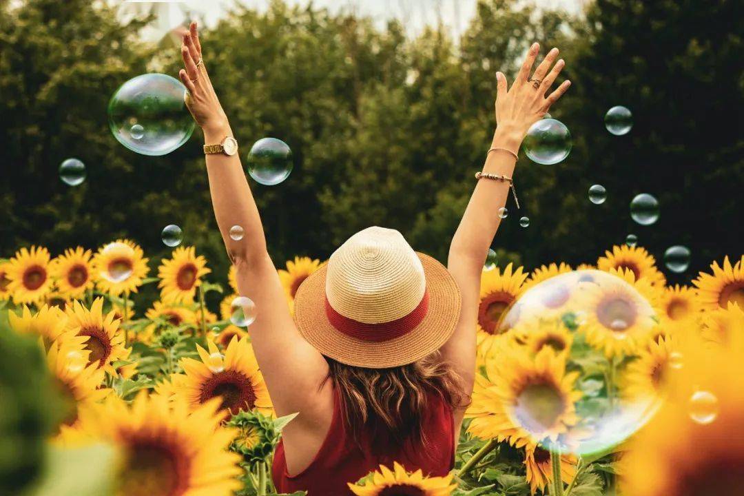 珍惜当下,美好生活永远不会迟到|节日荐书_研究_社会_项目