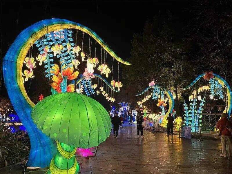 昆明越夜越美丽_灯展_游客_文化