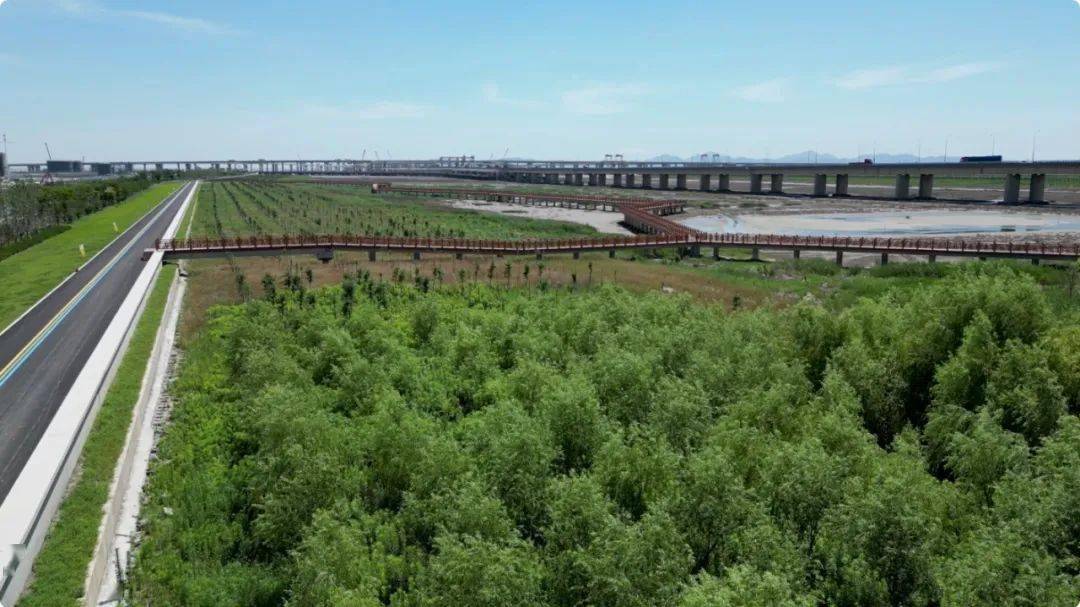 杭甬高速复线宁波段一期想必大家最近都收到,新晋网红点:镇海海塘安澜