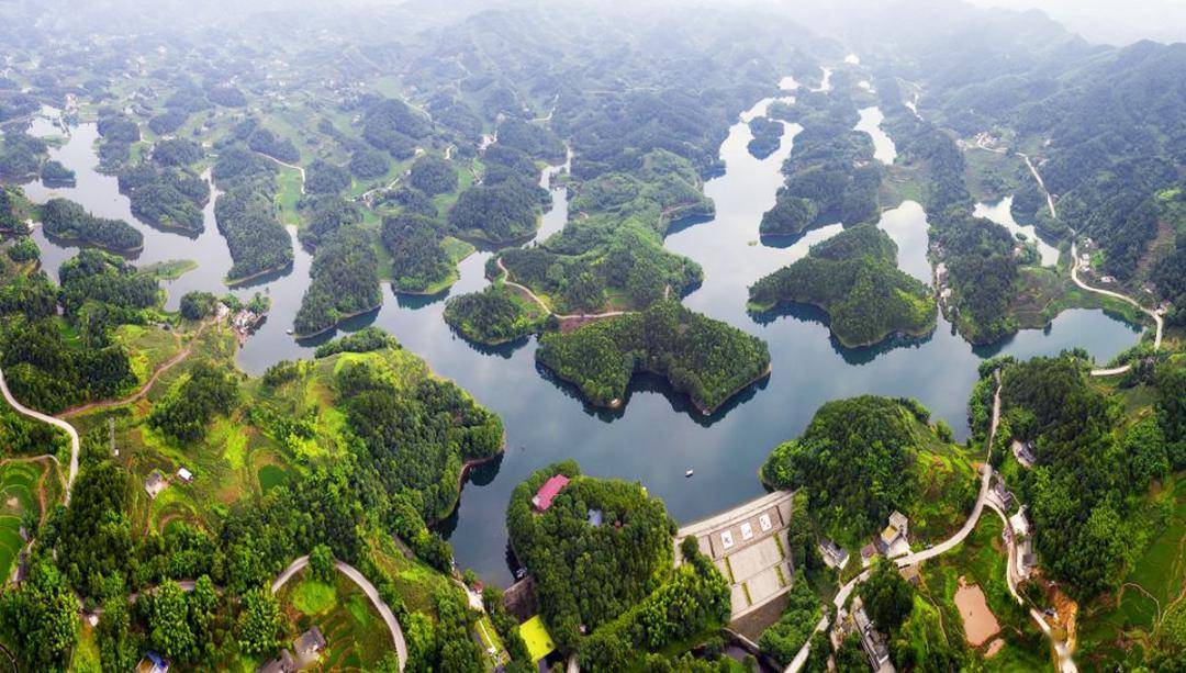 七仙湖省级生态旅游示范区胜天桫椤海清幽寂静,成千上万的桫椤树矗立