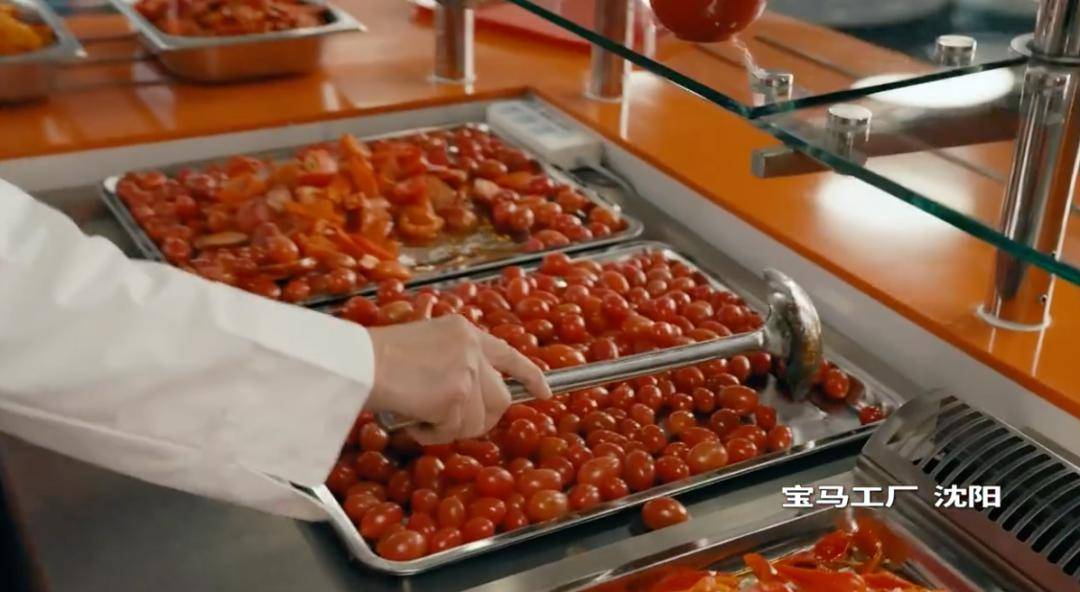 以及宝马沈阳工厂食堂阿姨一边舀西红柿,一边说"就这一小勺哈,还决定