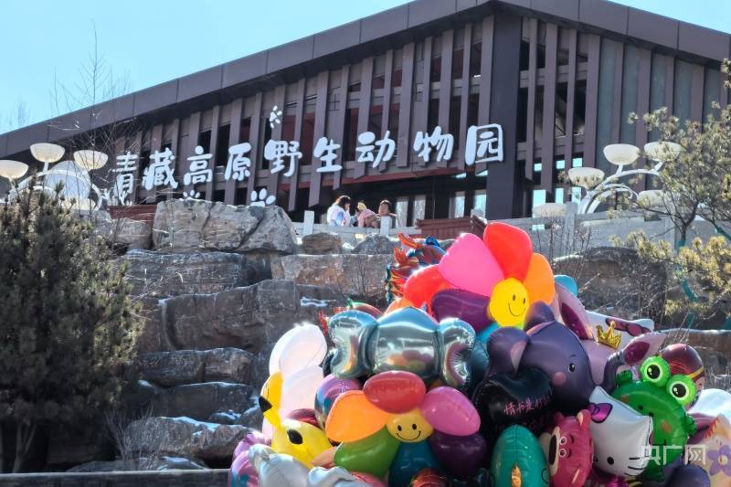 青海西宁:市民走出家门欢欢喜喜过大年_张海东_旅游_动物园