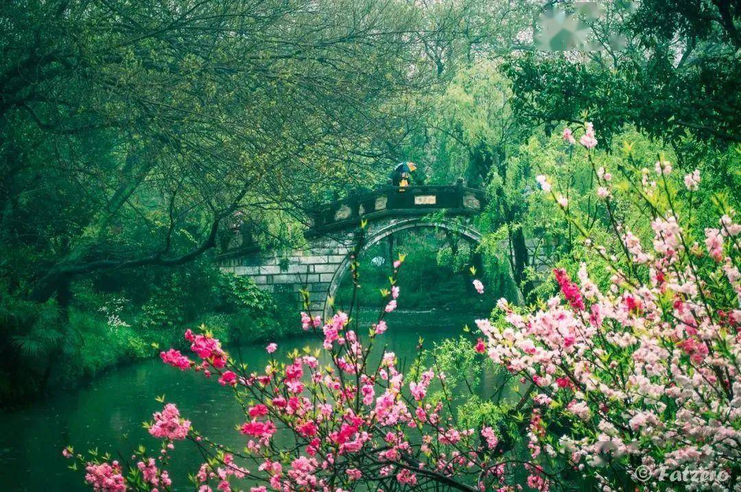 16处中国春色:诗意愈浓,莫负这大好春光_坐标_扬州