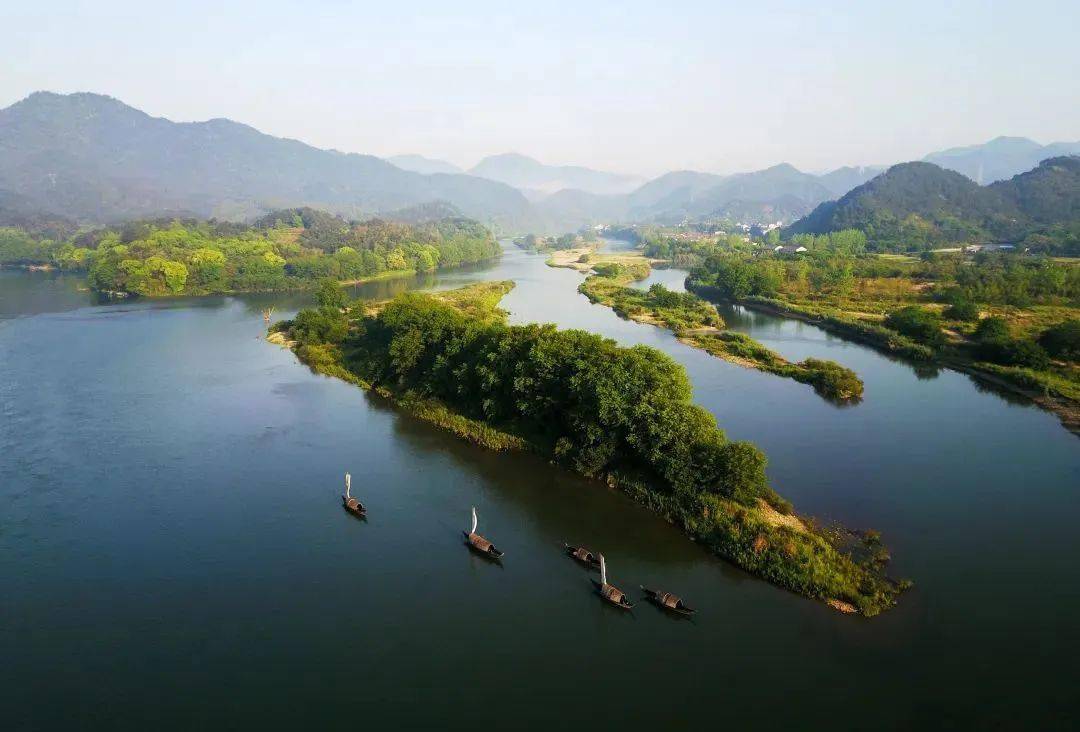 为你揭秘连续十年光顾九龙湿地的"生态密码"_保护_项目_工程
