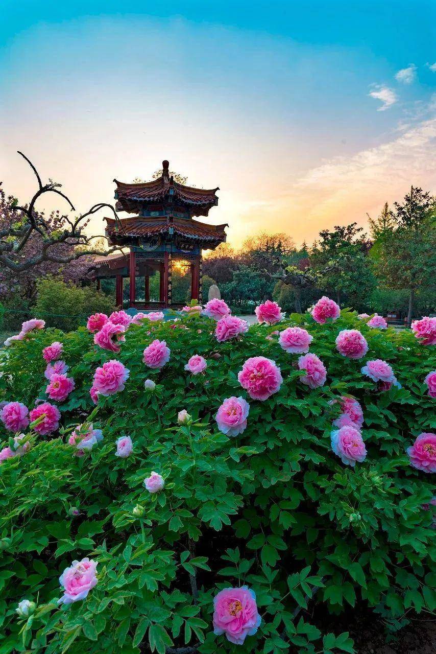 16处中国春色:诗意愈浓,莫负这大好春光_坐标_扬州