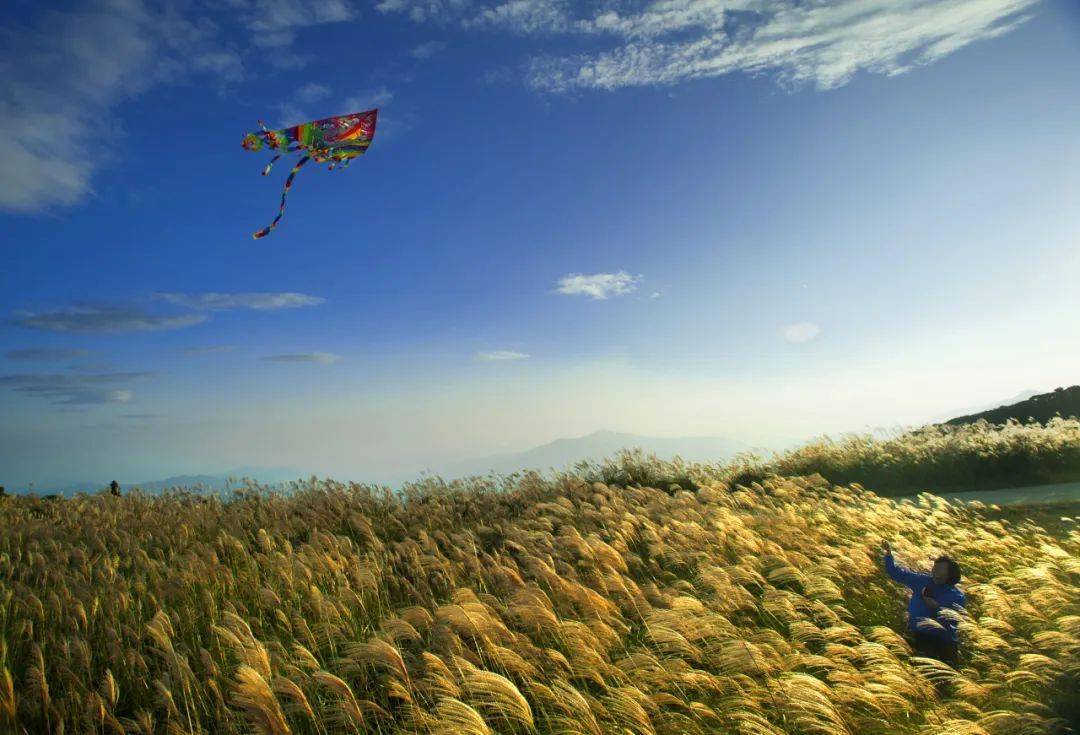 风车悠悠伫立山顶,云雾渺渺苍南第一高峰鹤顶山,因山势如鹤顶得名