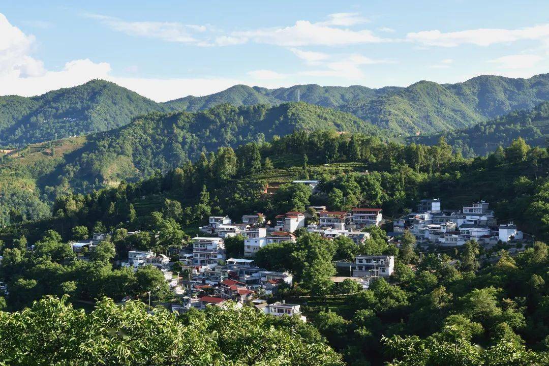 到雲南,赴一場溫暖之旅(內含福利)_溫泉_冬日_保山