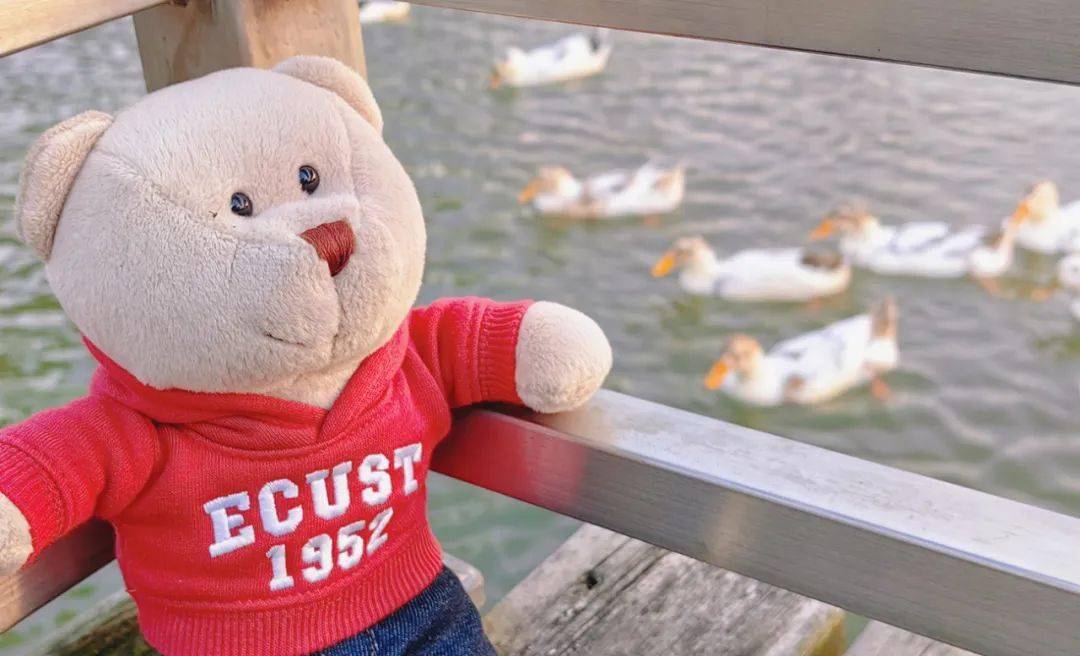 校园_未来的_华讯