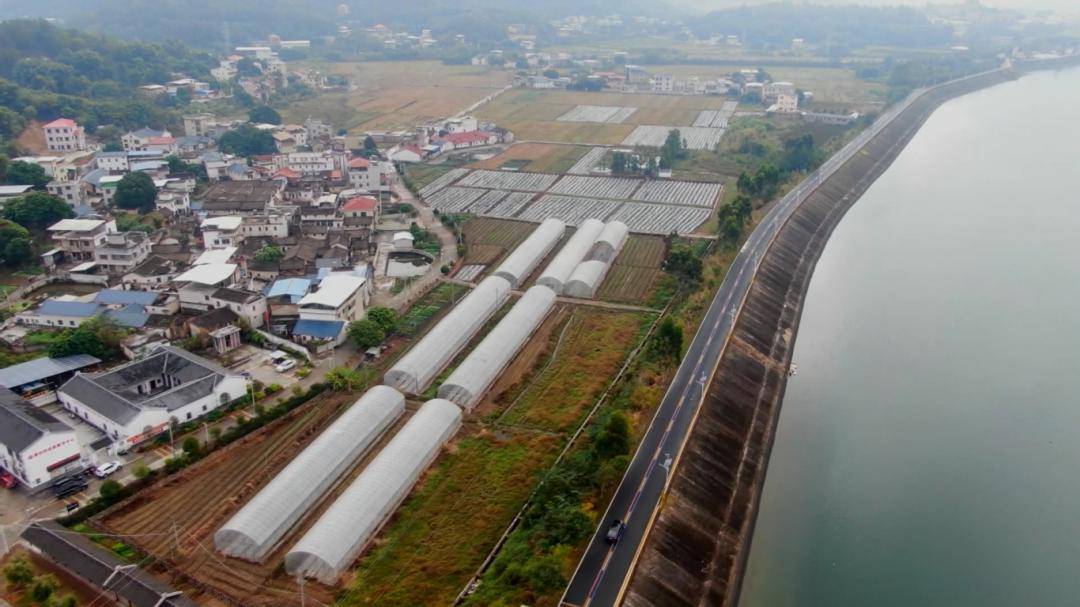 蕉岭新铺:千年古镇焕发新活力_新铺镇_辣椒_项目