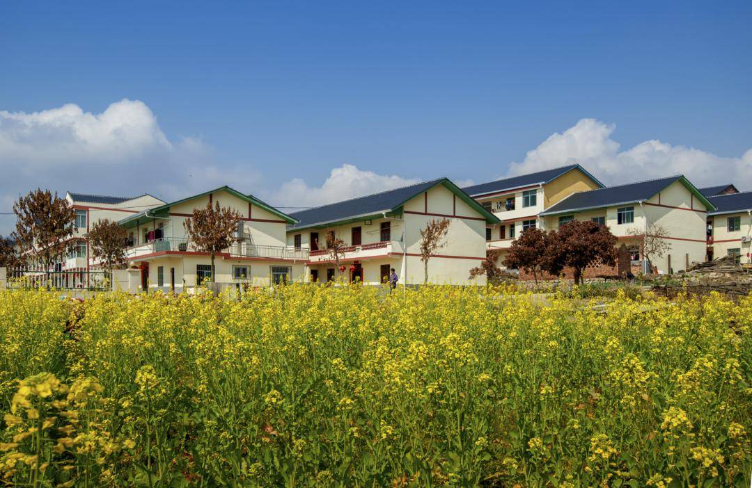 龙腾大武夷 | 古村落 白鸽岛——樟湖镇旅游观光打卡攻略