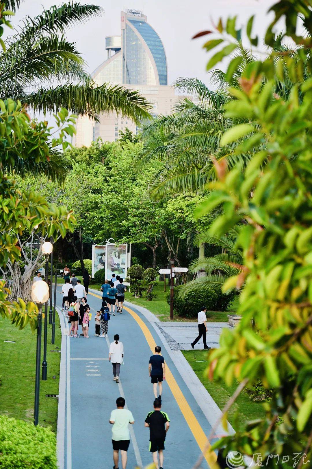 每条都是王炸……_步道_公园_市民