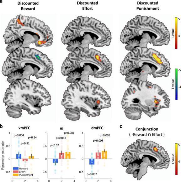 各位deadline战士,拖延=无效焦虑|两大研究结果表明