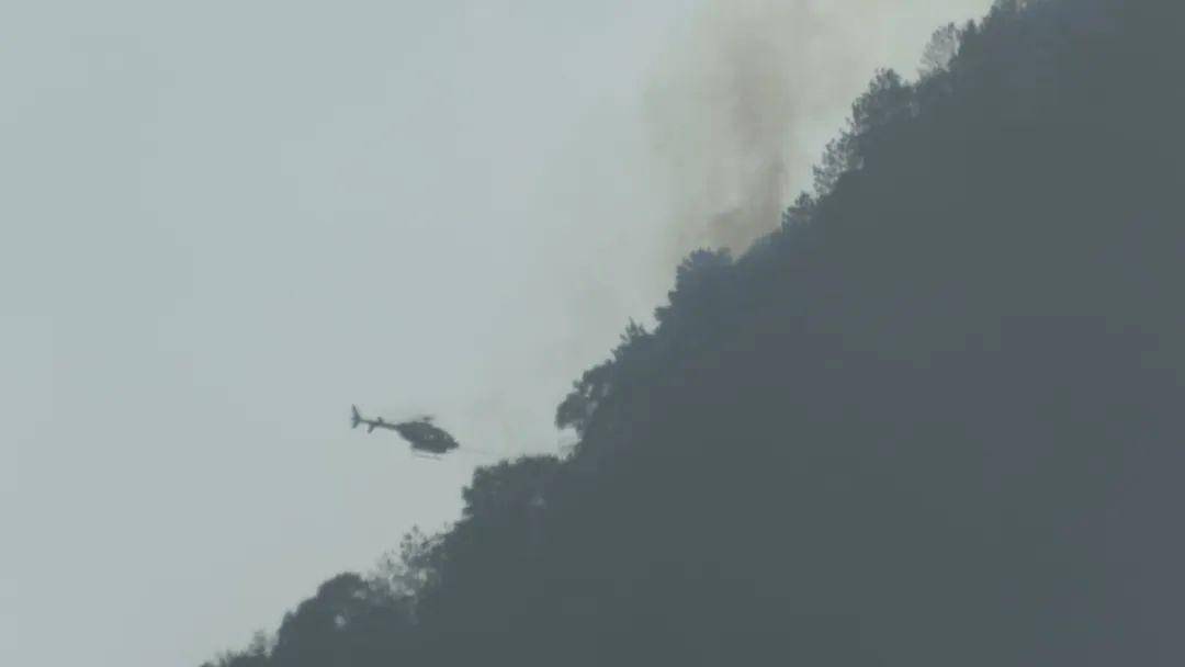梅州一小孩玩烟花引发山火!出动直升机._大埔_梅县