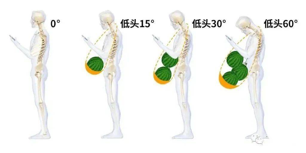 颈椎活动度测量示意图图片