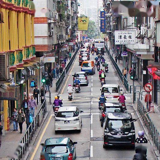 生肖齬集此處】最後,如果有細心留意,路氹城區的金光大道行車線中間