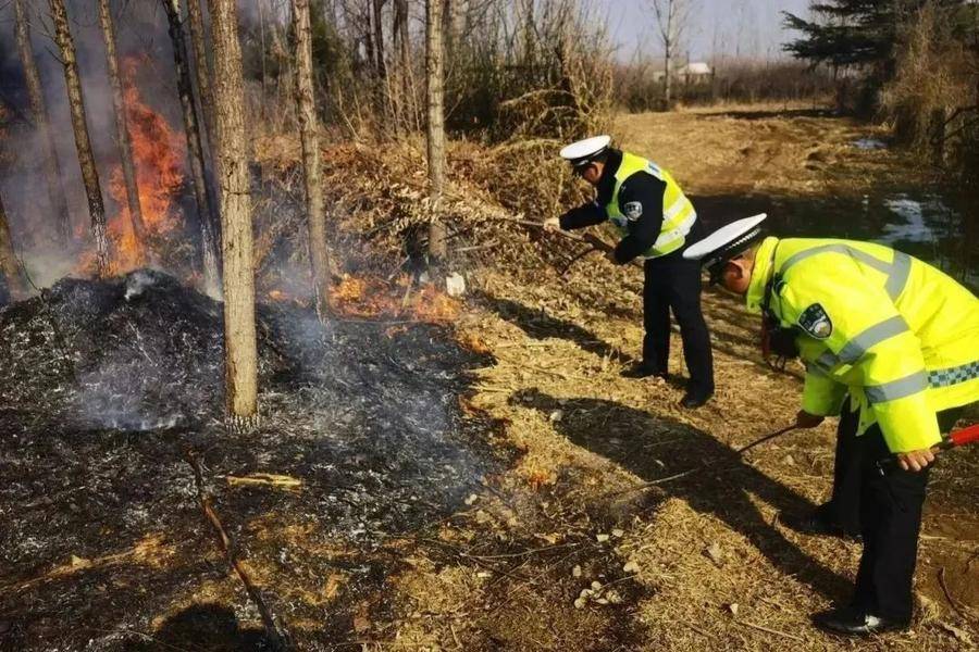 山东交警春节状态"满格",暖心守护居民出行平安_车辆_