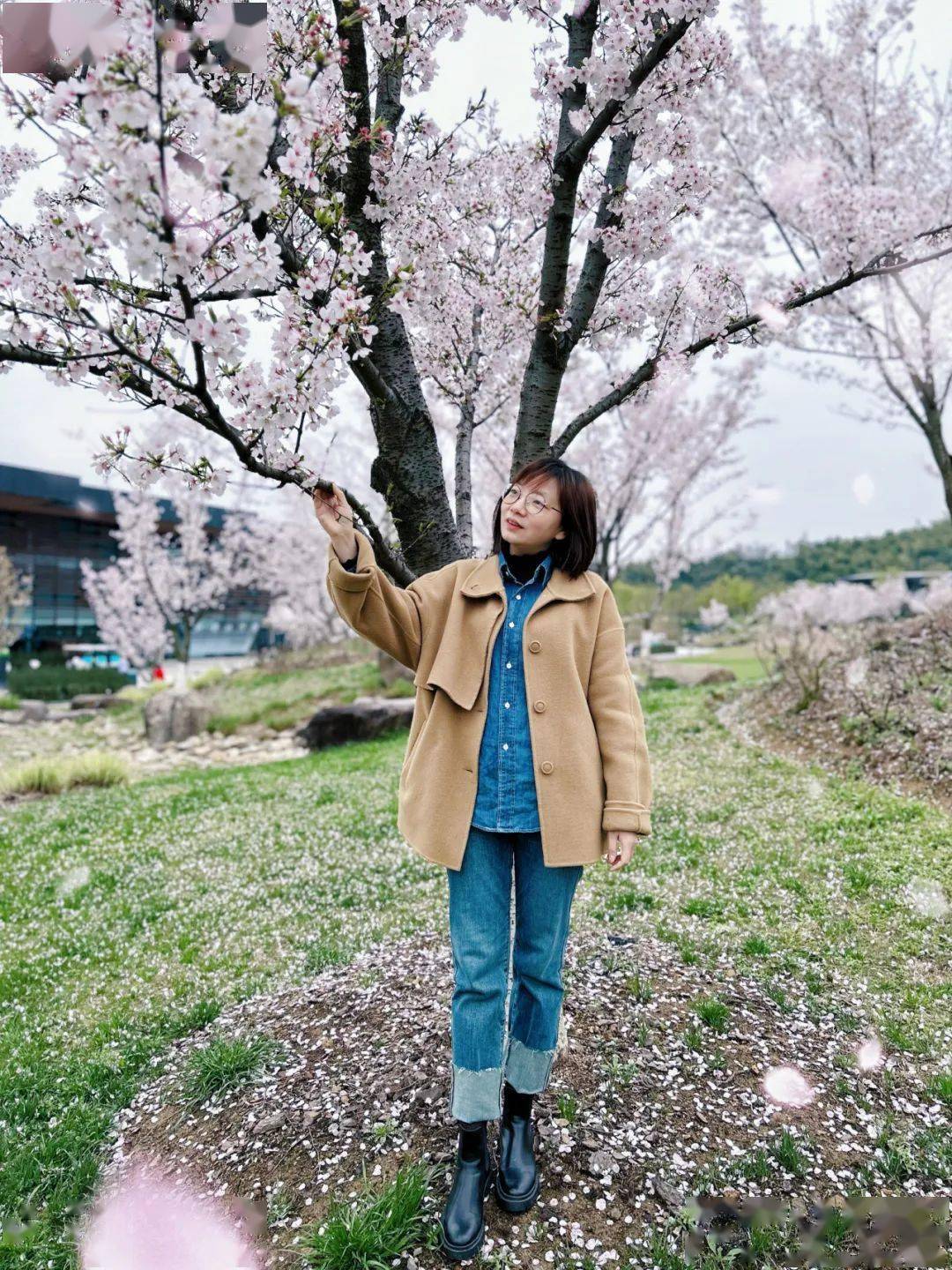 壁纸 树 1080_1440 竖版 竖屏 手机