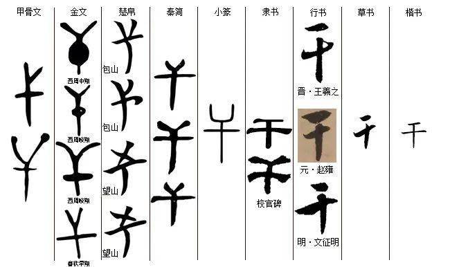 每日一字