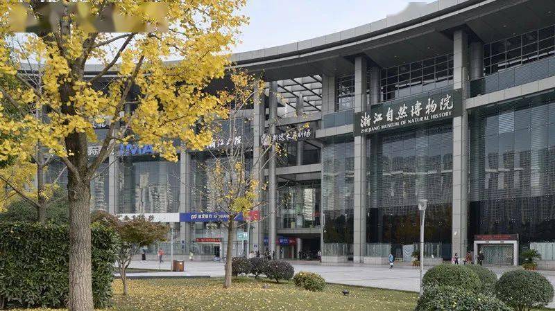 馆南宋德寿宫遗址博物馆位于杭州望江路北,中河中路东,方志馆东北侧