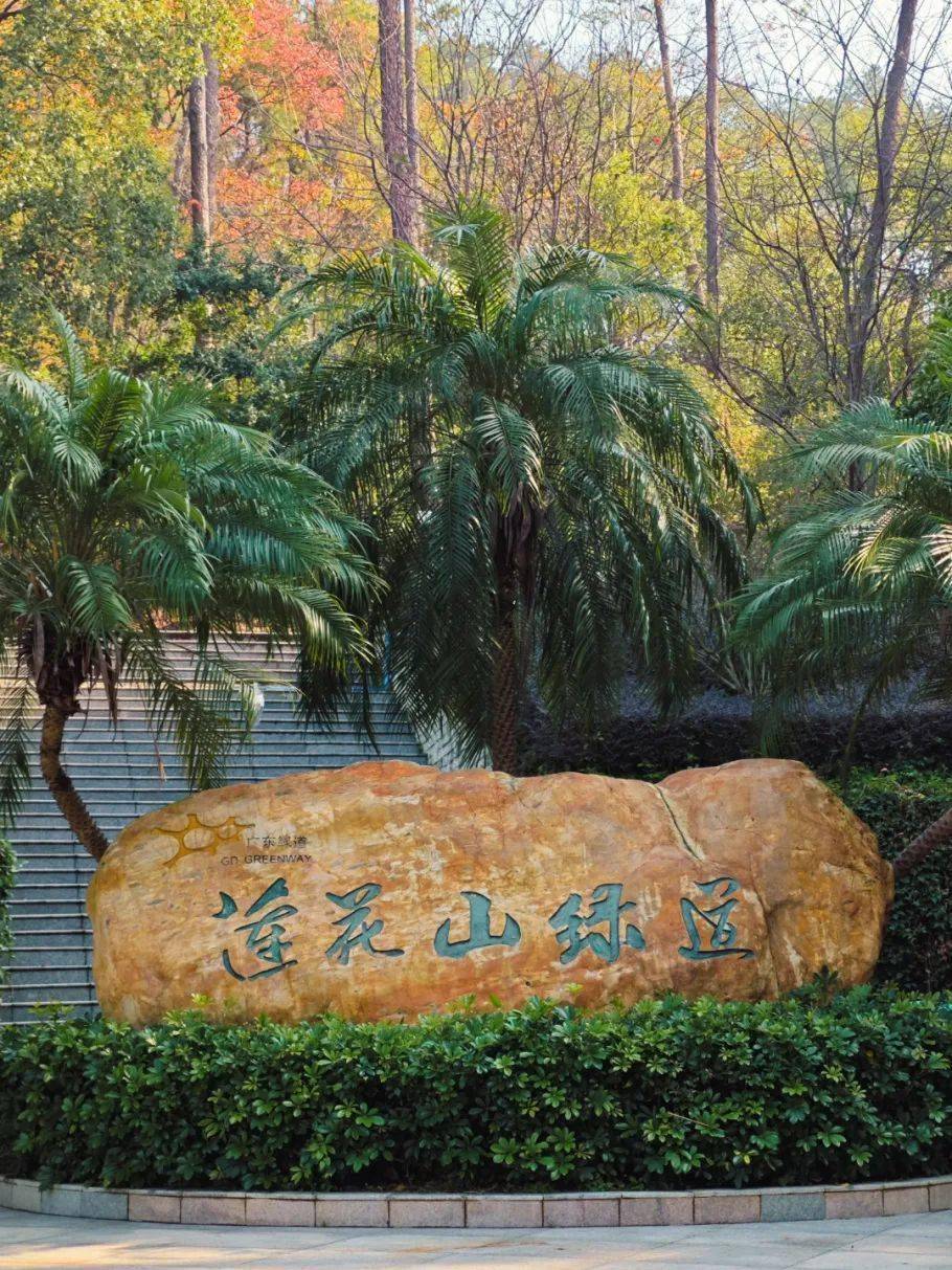 森林公园距离市中心仅有两公里的路程,占地面积辽阔,是韶关的"城市绿