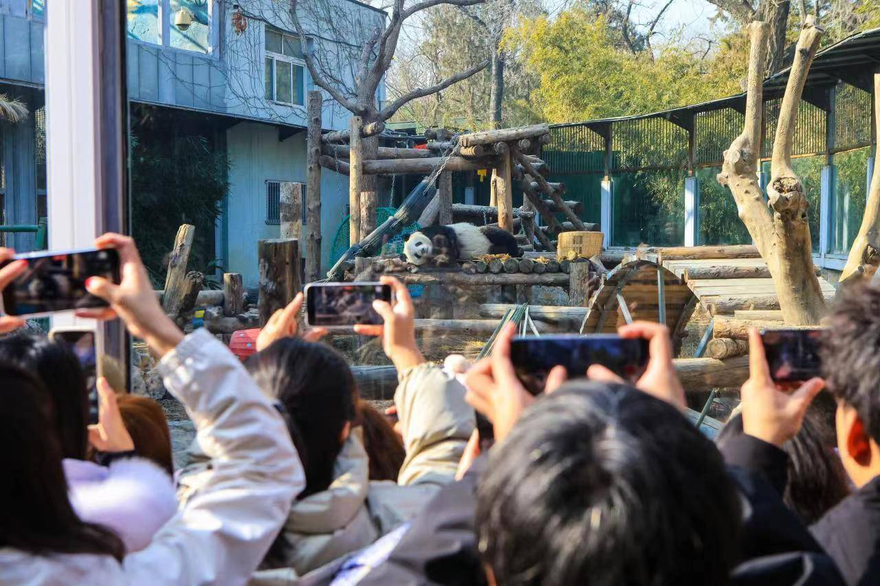 春节假期八天,北京市属公园接待游客超400万人次_游园