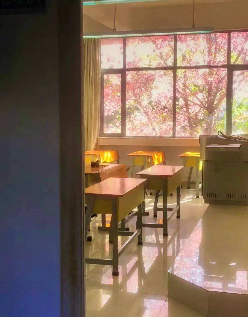 它美得像ai,天呐,看这满屋的光,穿透玻璃来到了哪里?竟然是教室欸.