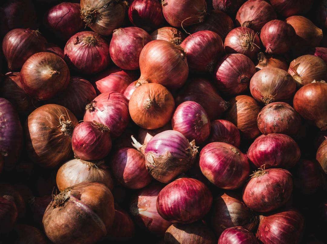 印度海关截获了83吨即将出口到阿联酋的洋葱_迪拜_活动_中华网