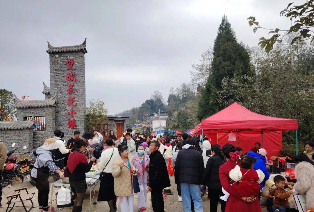 凤庆县洛党镇石洞寺双阁茶花节盛大开幕