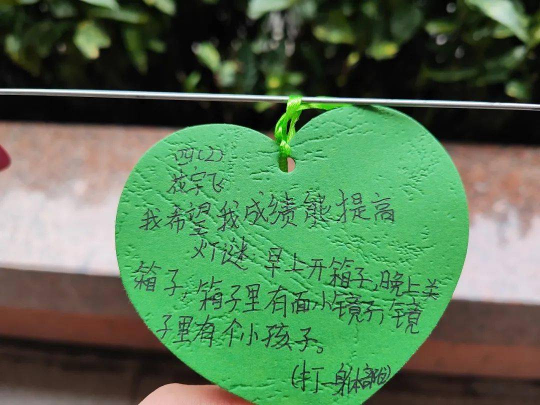 【和善丨校园新闻】龙行龘龘百蜜香 前程朤朤谱新篇